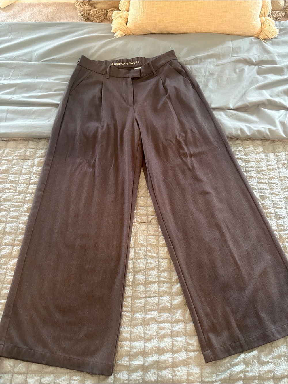 American Eagle Outfitters Wide-Leg Pants